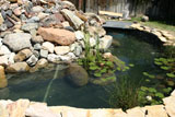 Pond project